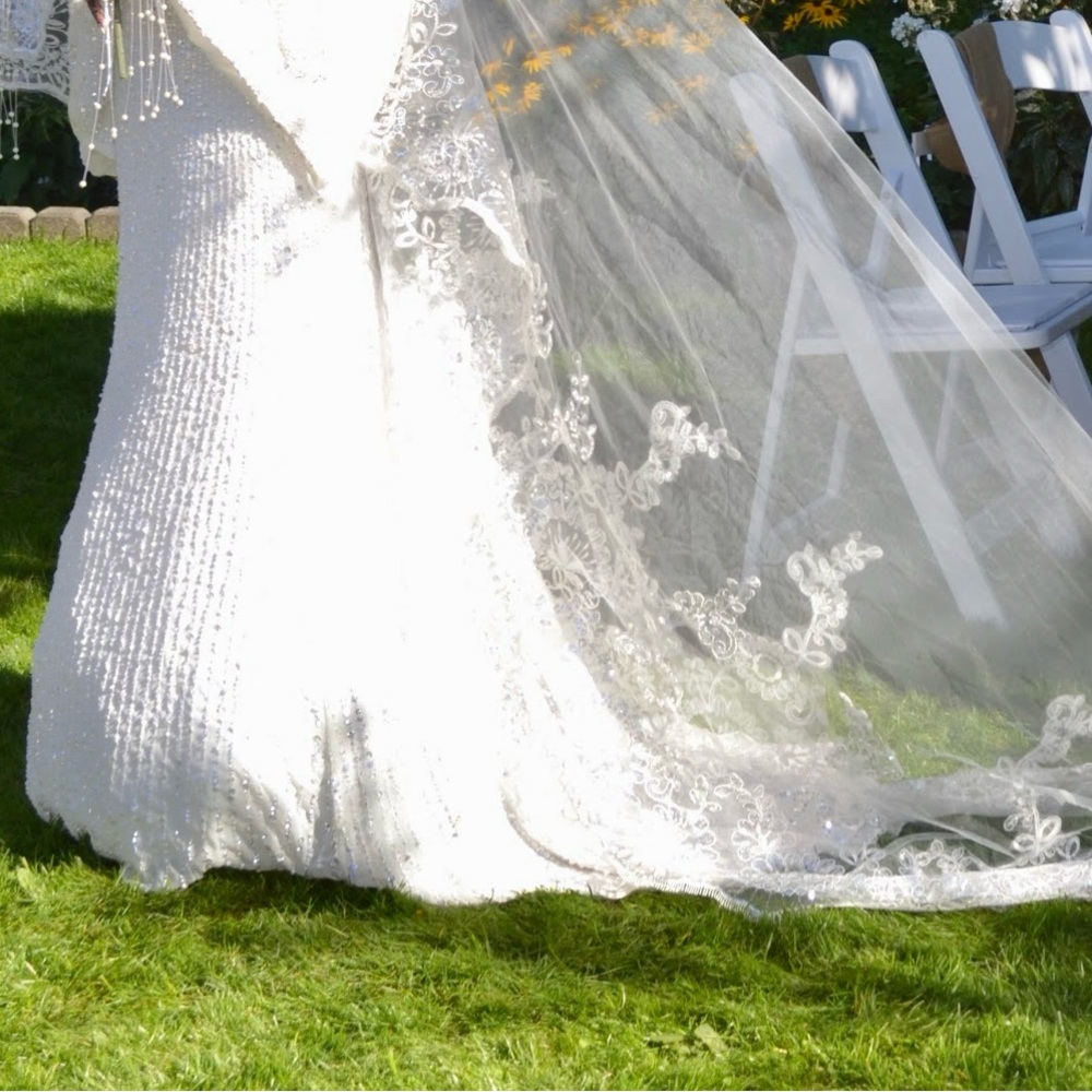 Veil - Picture 3 of 4